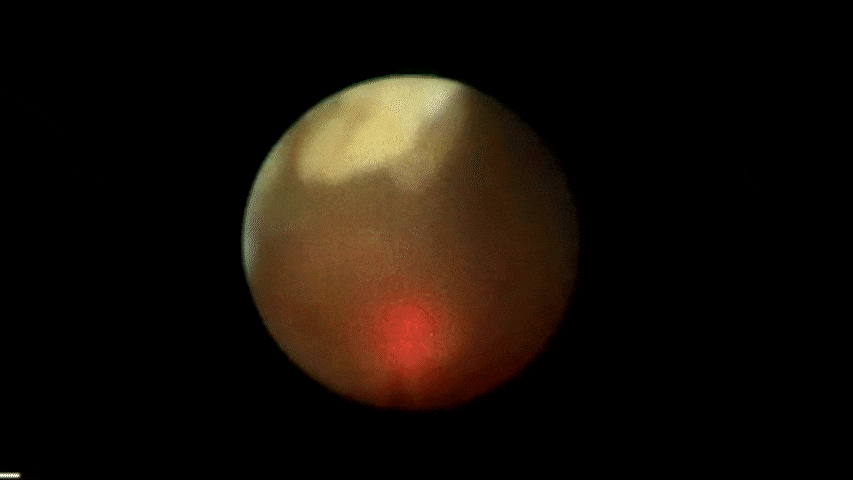 1679994762736172.gif 1679994762736172.gif